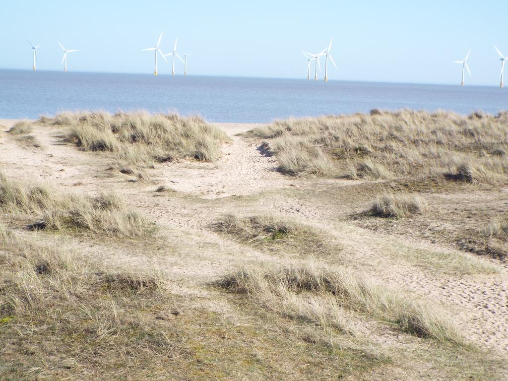 Maluth Great Yarmouth